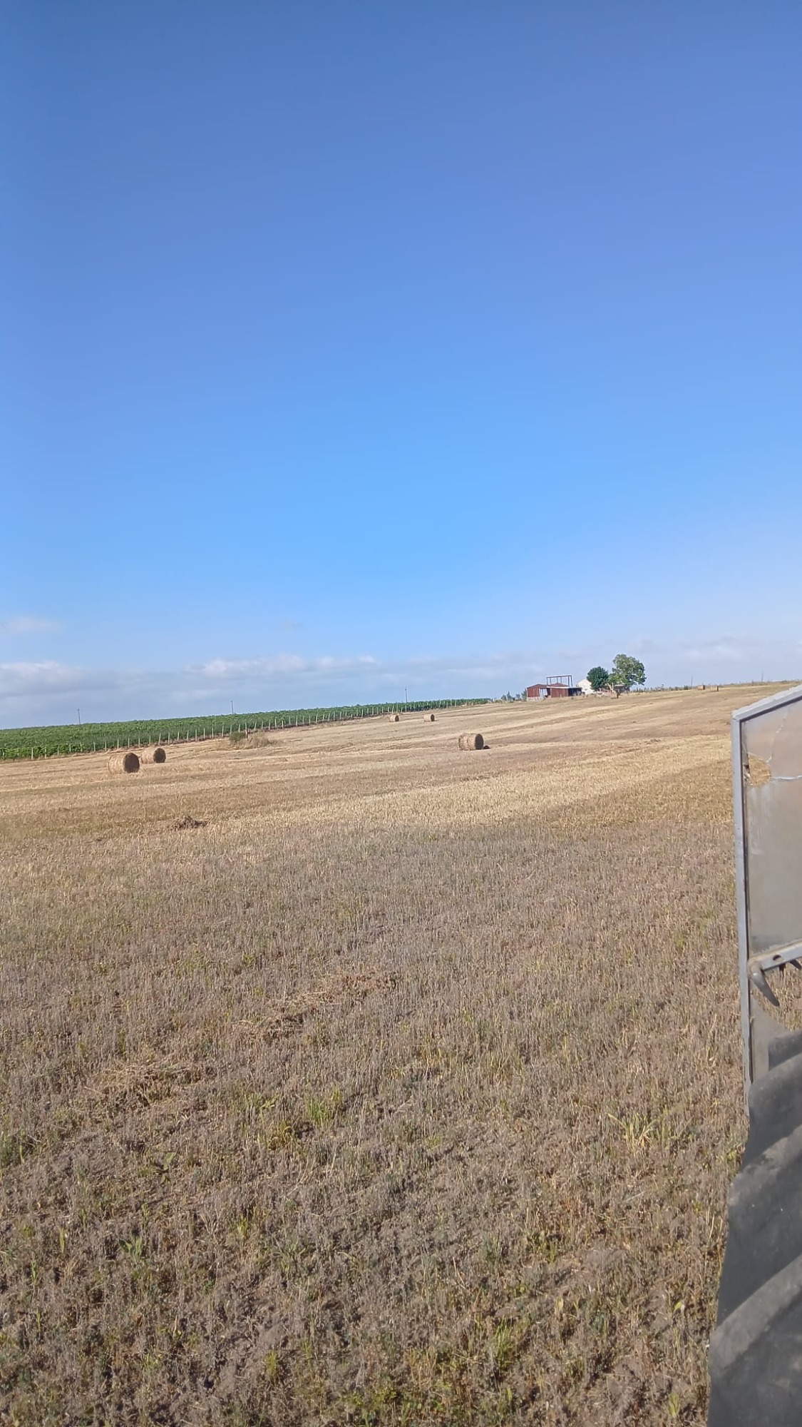 Agroservicios JF Agroservicios JF MOVIMIENTOS TIERRA
SERVICIOS AGROPECUARIOS