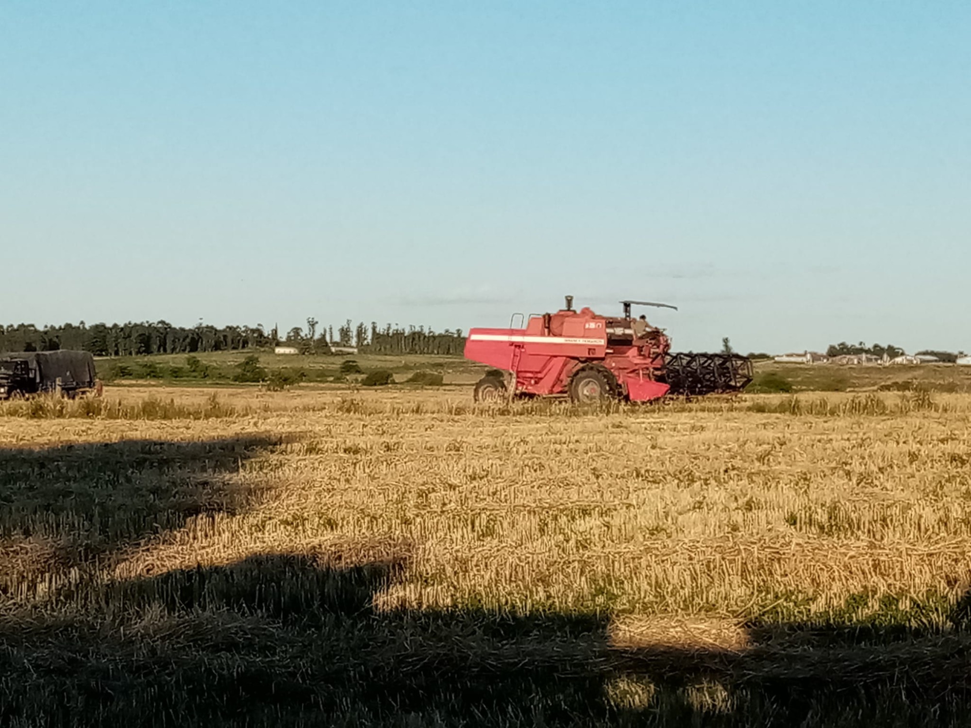 Agroservicios JF Agroservicios JF MOVIMIENTOS TIERRA
SERVICIOS AGROPECUARIOS