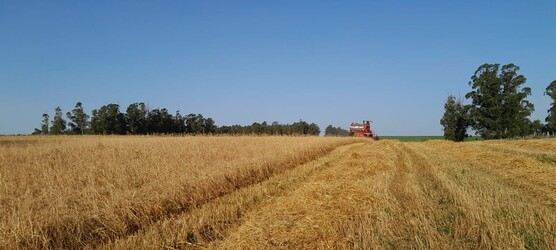 Agroservicios JF Agroservicios JF