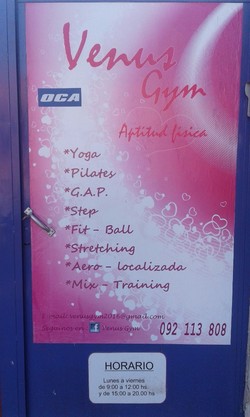 VENUS GYM 