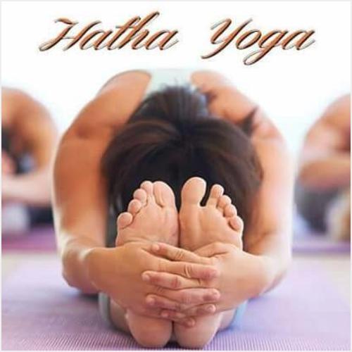 HATHA YOGA VENUS GYM