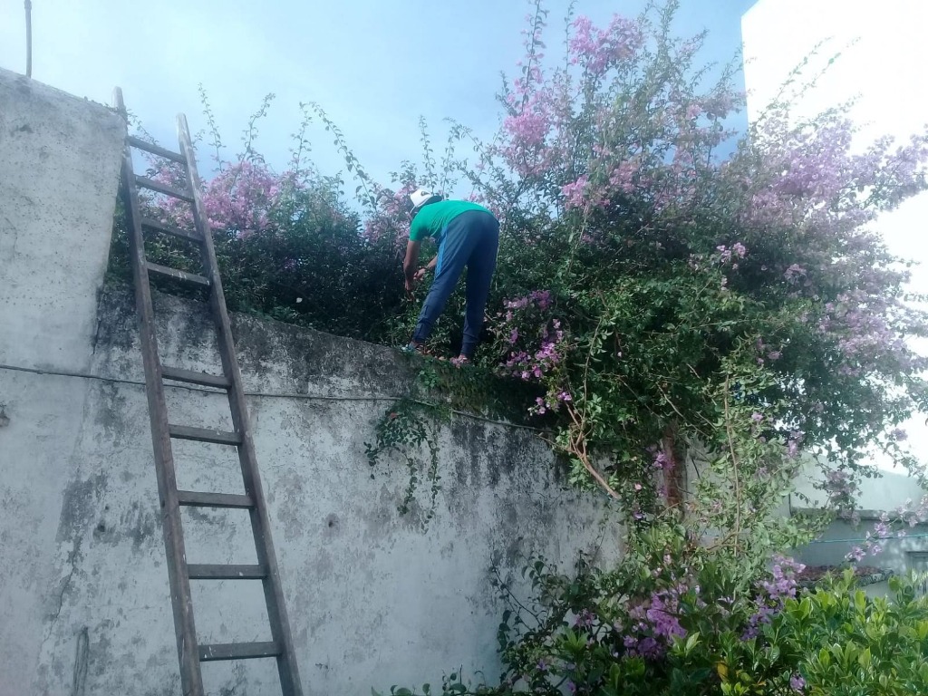 BELLO JARDIN MONTEVIDEO  