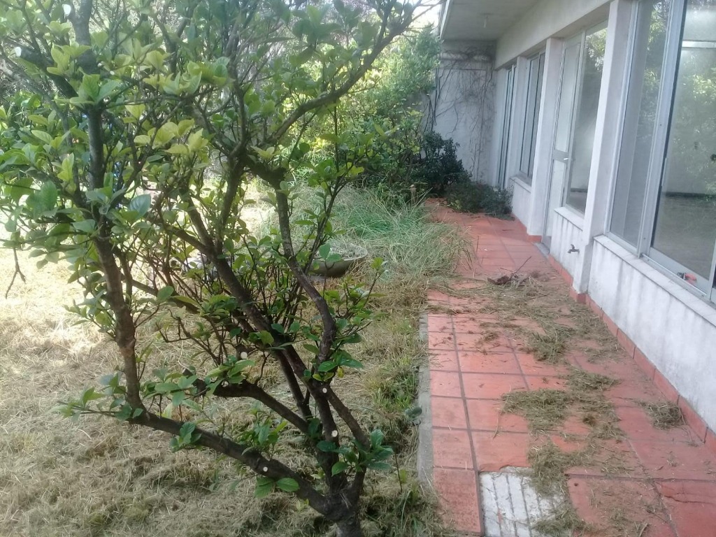 BELLO JARDIN MONTEVIDEO  