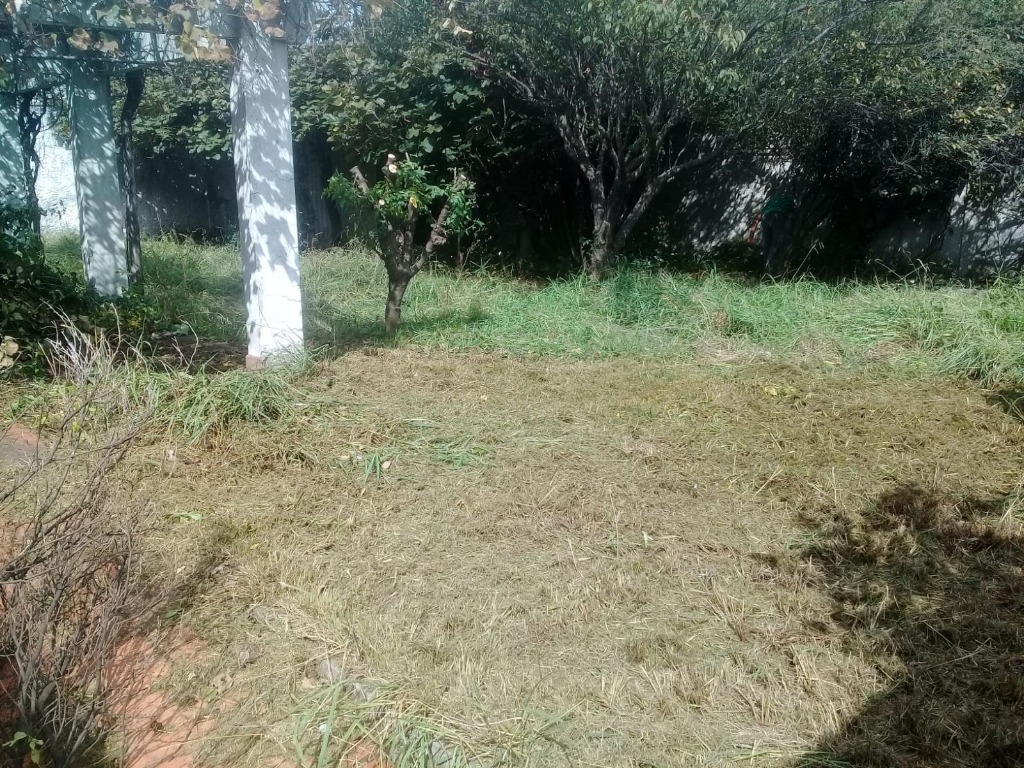 BELLO JARDIN MONTEVIDEO  