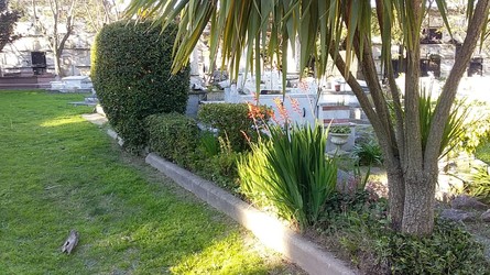 BELLO JARDIN COSTA mantenimiento en panteones