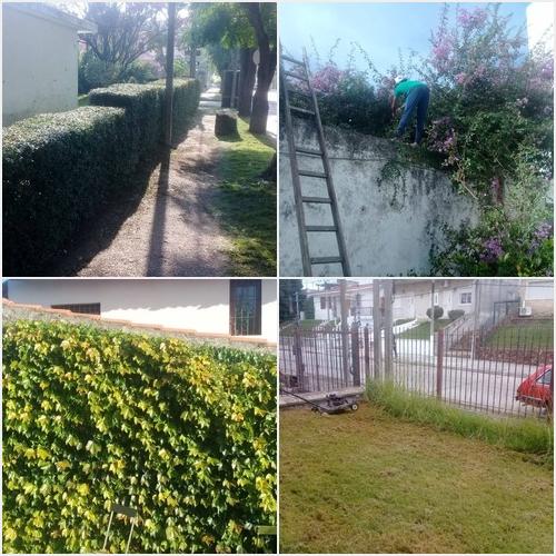 PODAS, DESMALEZADOS, ARREGLOSCANTEROS Y MAS BELLO JARDIN COSTA