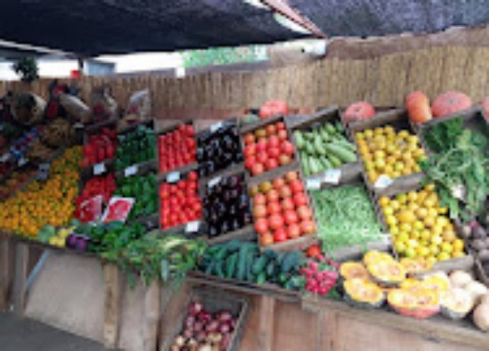 AUTOSERVICE LEO Y MARA  