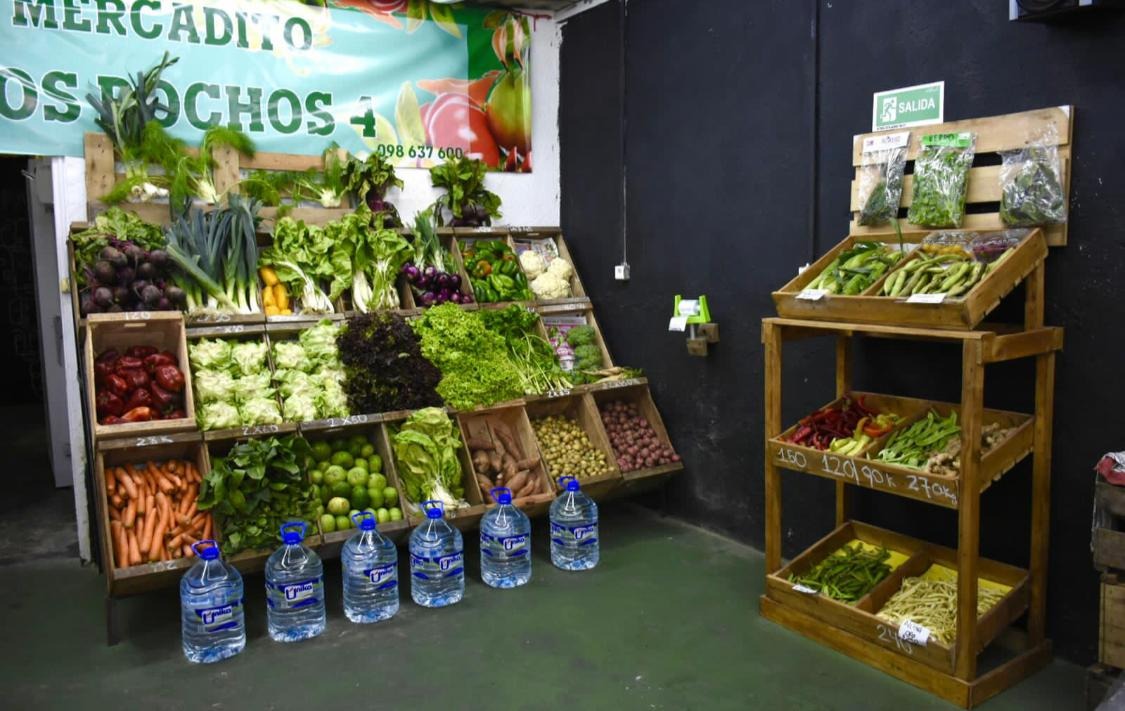 MERCADITO LOS POCHOS 4  