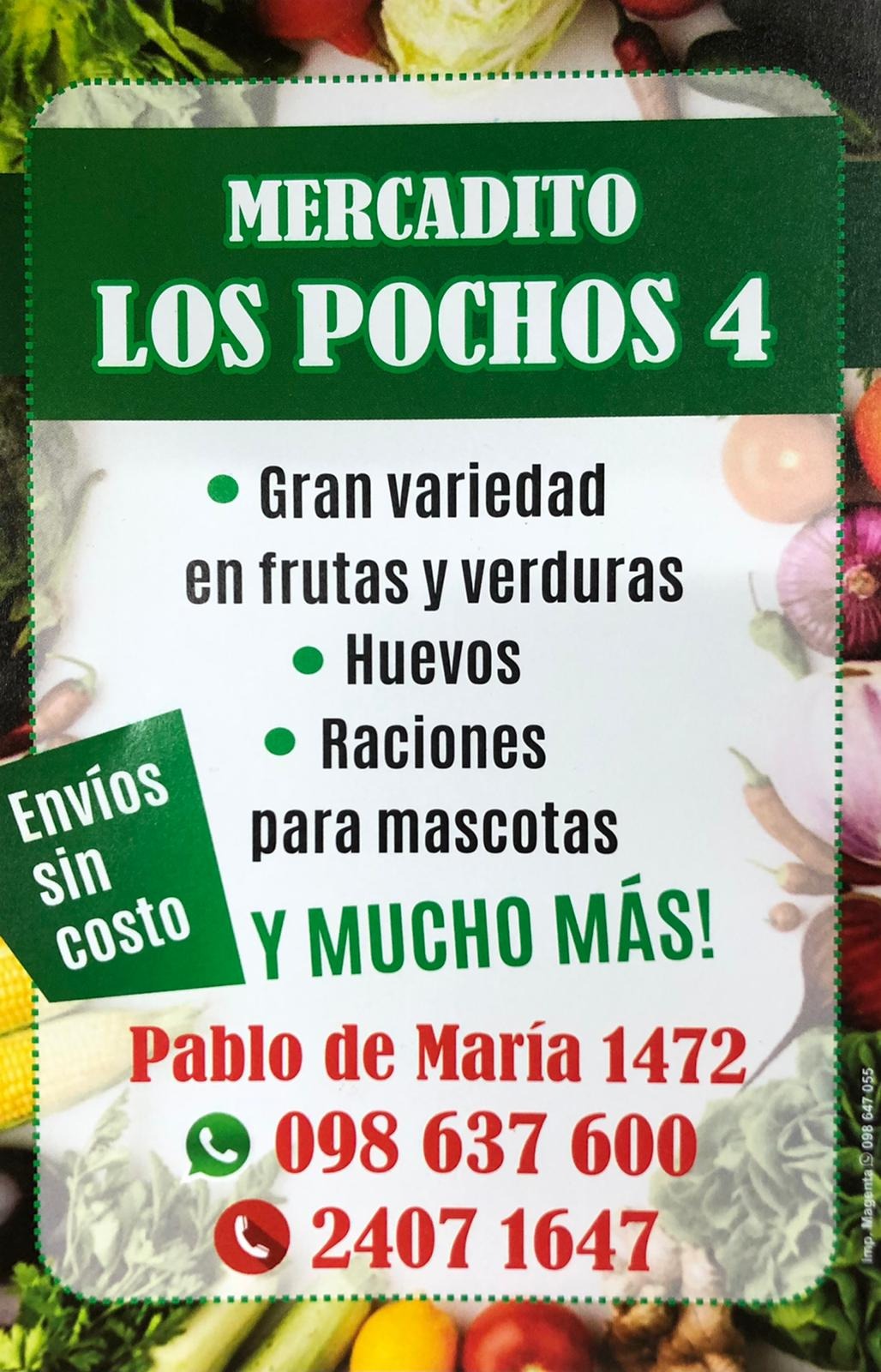 MERCADITO LOS POCHOS 4  