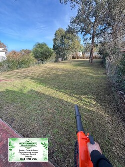 MANTENIMIENTO DE ESPACIOS VERDES 