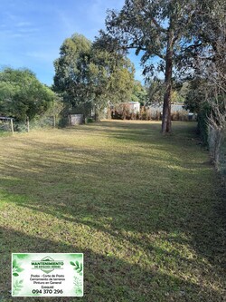 MANTENIMIENTO DE ESPACIOS VERDES 