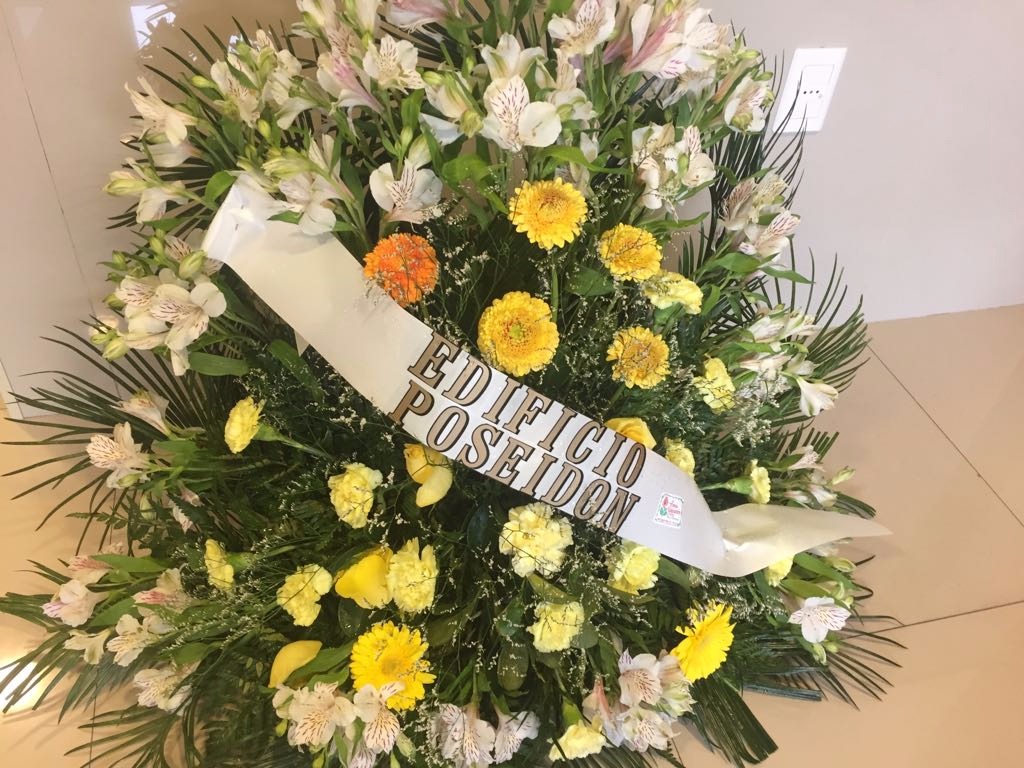 FLORERIA YAGUARON Palma 