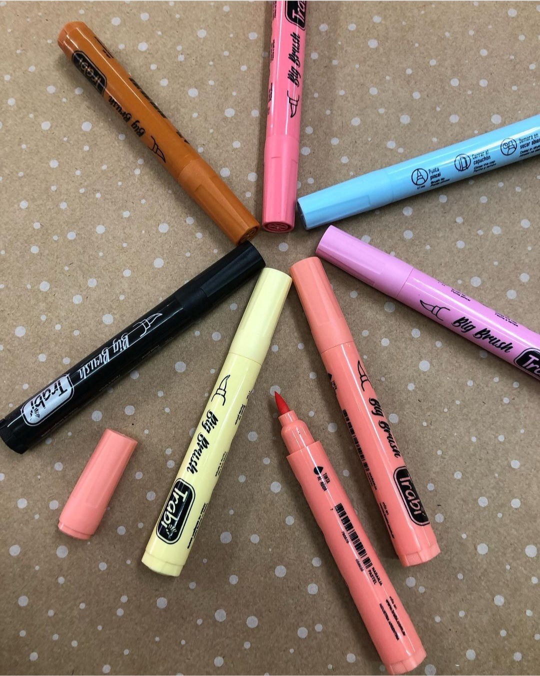 PAPELERÍA MAGISTERIAL  