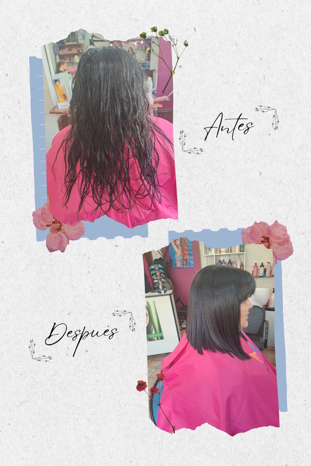 Centro Estético Laura  