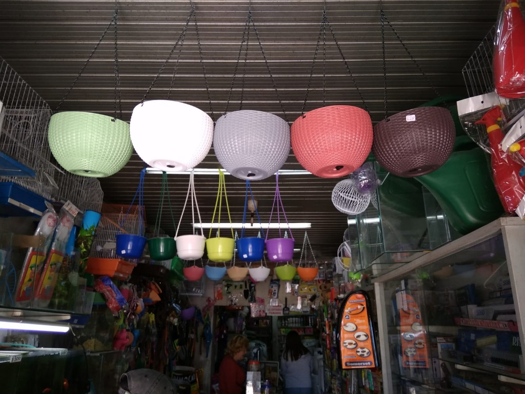 AGROPECUARIA AVENIDA  