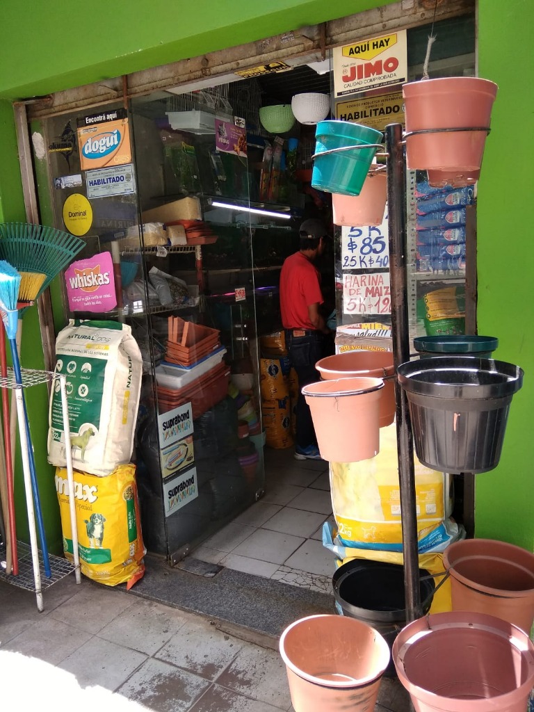 AGROPECUARIA AVENIDA  