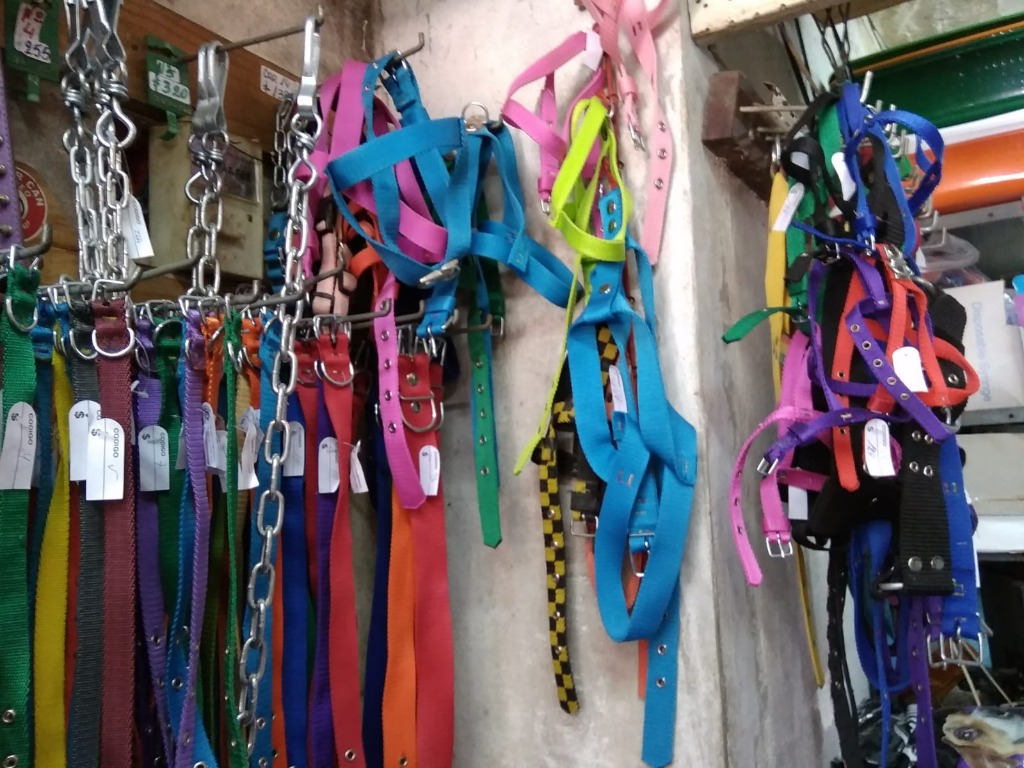 AGROPECUARIA AVENIDA  