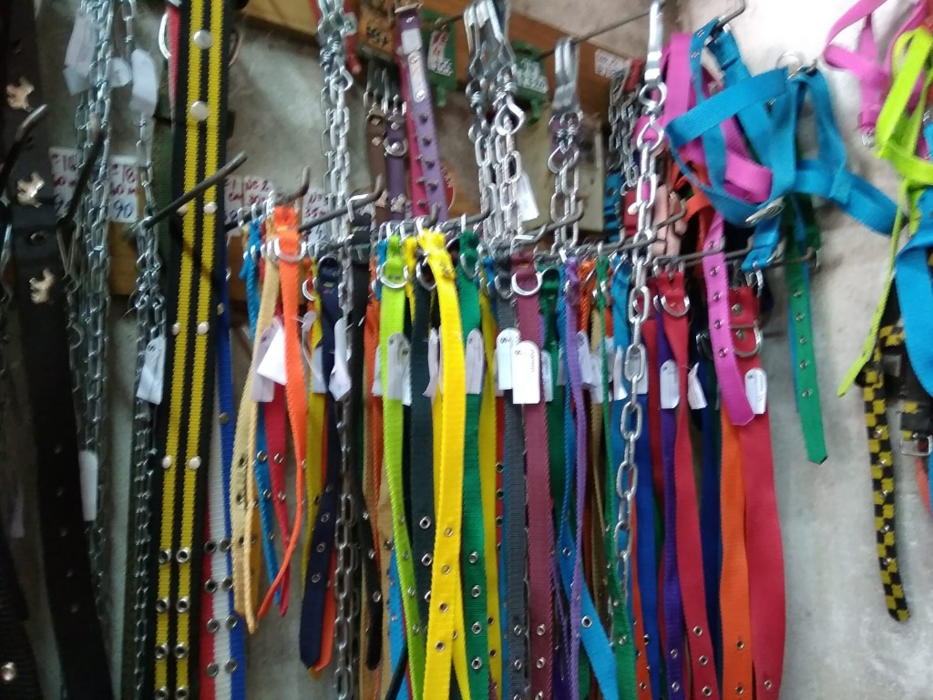 AGROPECUARIA AVENIDA  