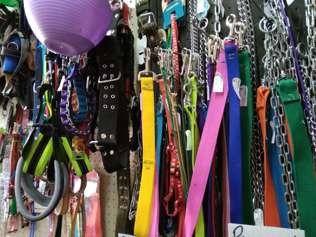 AGROPECUARIA AVENIDA  