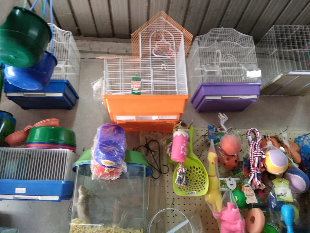 AGROPECUARIA AVENIDA  