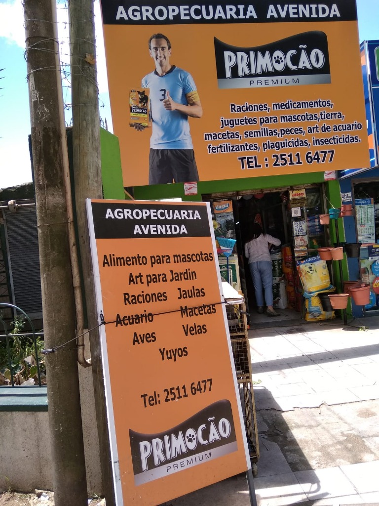 AGROPECUARIA AVENIDA  