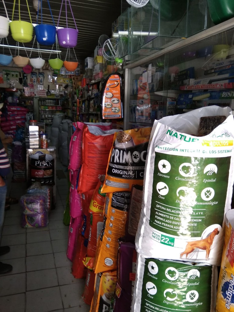 AGROPECUARIA AVENIDA  