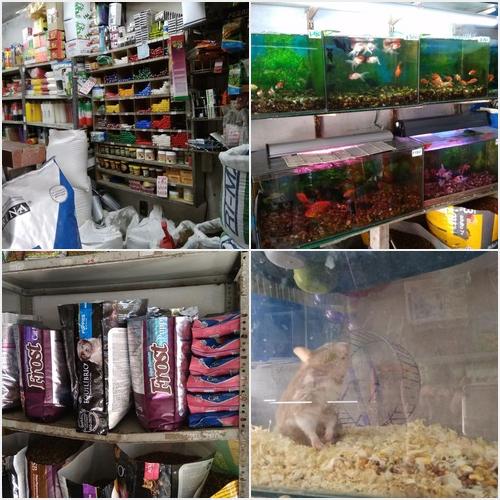 Productos AGROPECUARIA AVENIDA