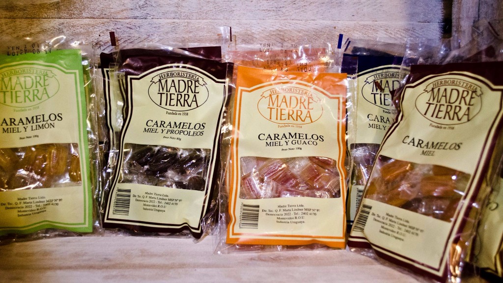 EQUILIBRA CASA NATURISTA  