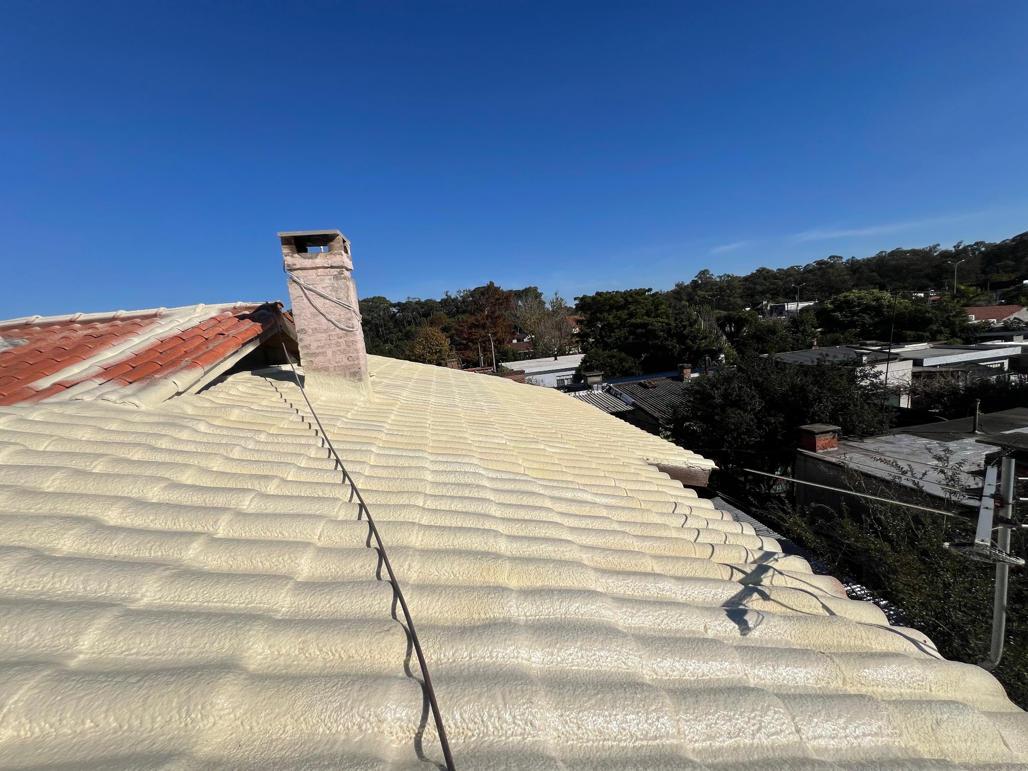 EL REY DEL POLIURETANO  