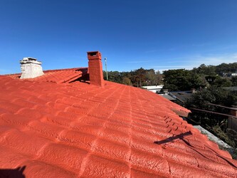 EL REY DEL POLIURETANO 