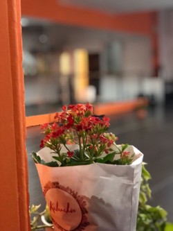 ESTUDIO DE ARTE TABÚ 