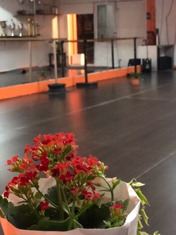 ESTUDIO DE ARTE TABÚ 