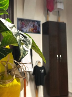 ESTUDIO DE ARTE TABÚ 