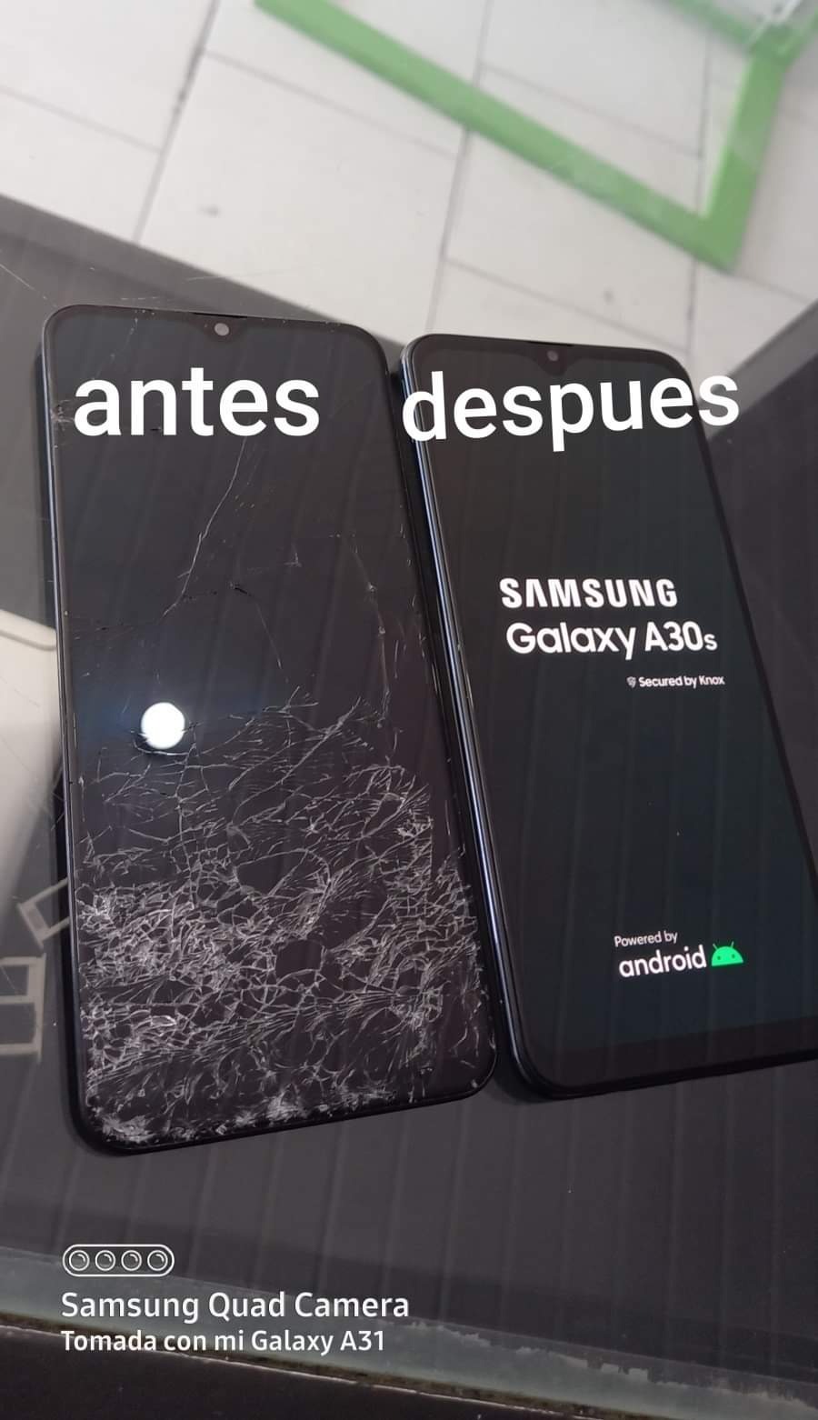 TECNOLOGIA CELULAR  