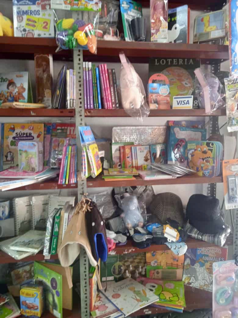 PAPELERÍA SUR Libros y juguetes 