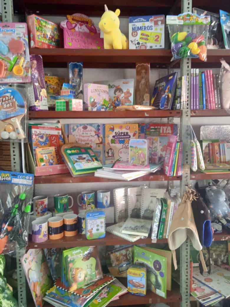 PAPELERÍA SUR Libros y juguetes 