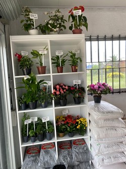 AGROPECUARIA TRÉBOLES 