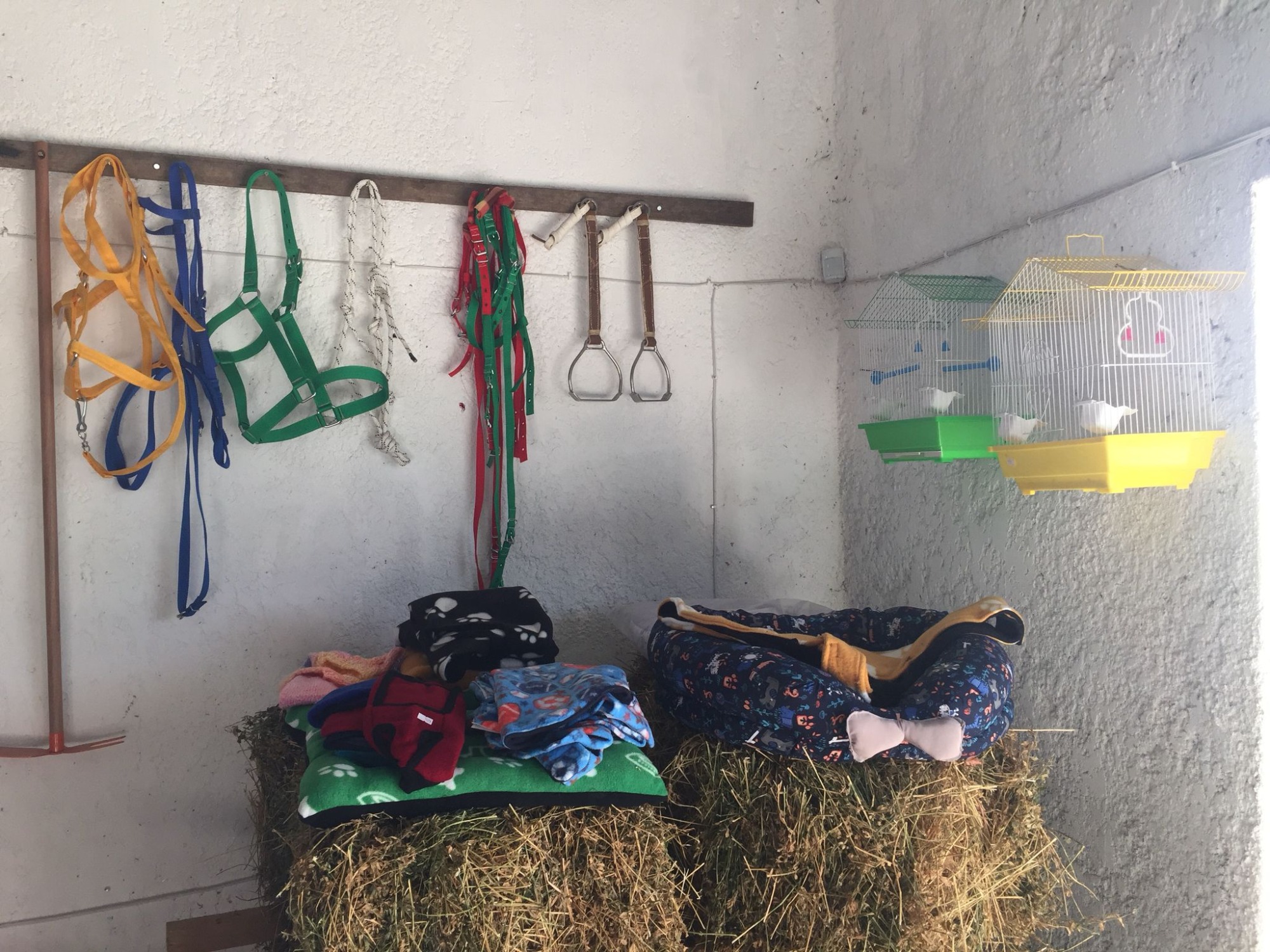 AGROFERRETERÍA LAS FLORES  