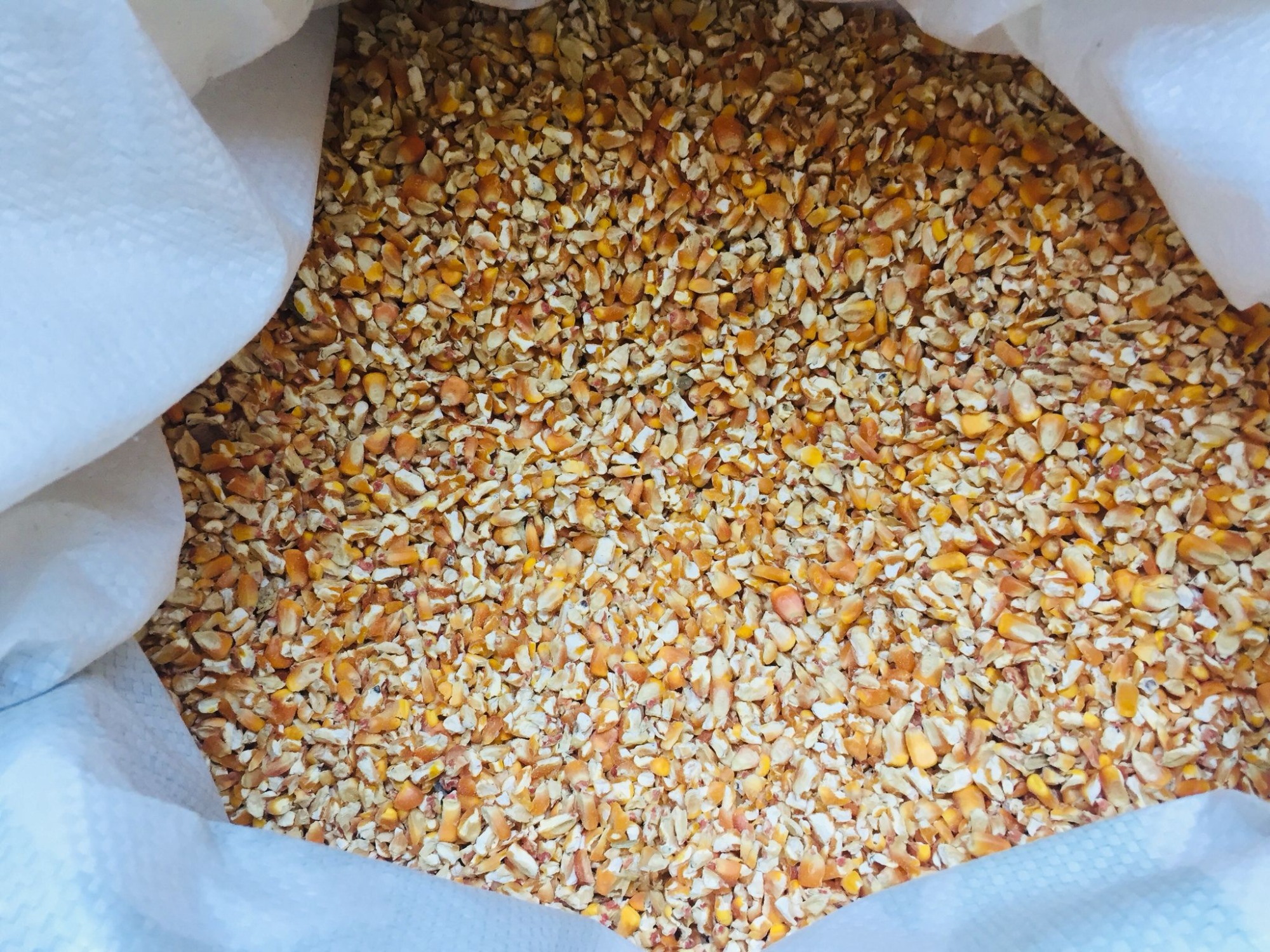 AGROFERRETERÍA LAS FLORES  