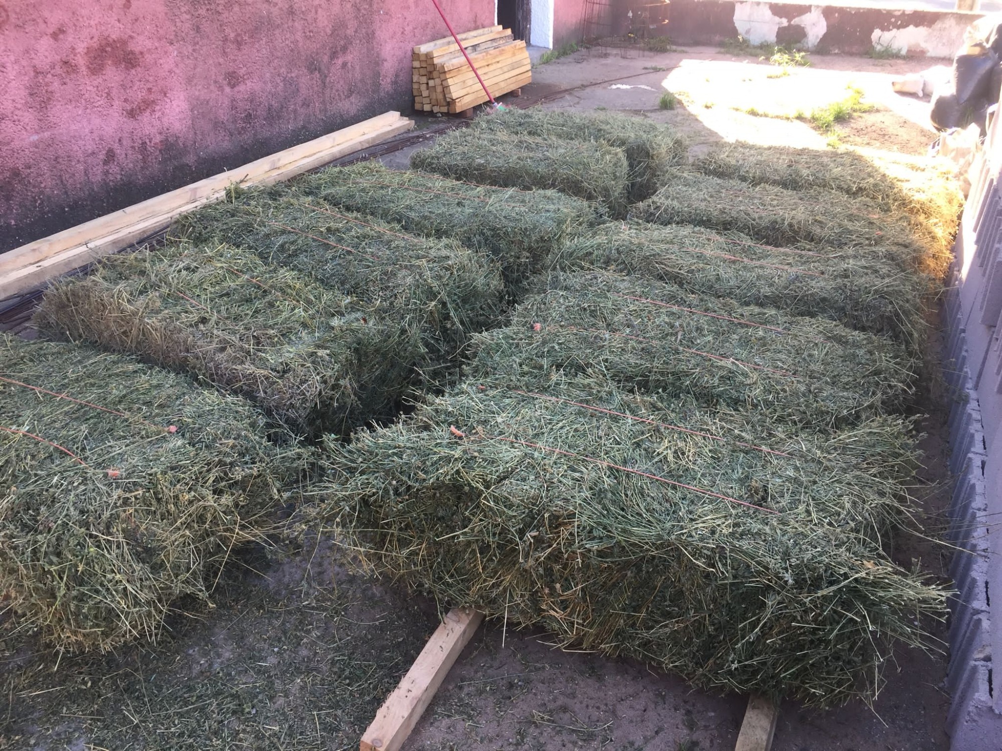 AGROFERRETERÍA LAS FLORES  