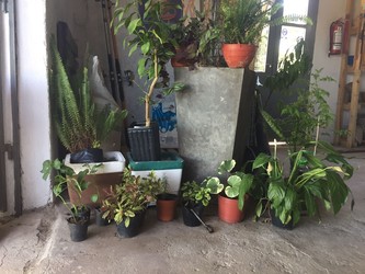 AGROFERRETERÍA LAS FLORES 