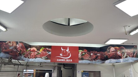 CARNES SILVA 