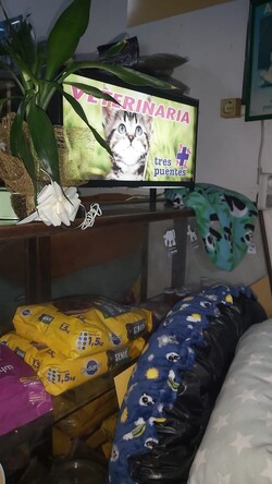 VETERINARIA TRES PUENTES 