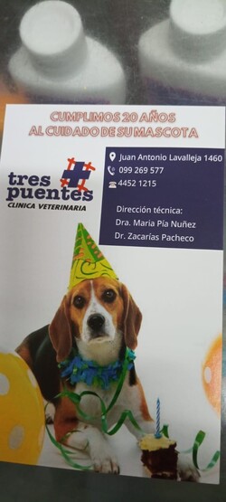 VETERINARIA TRES PUENTES 