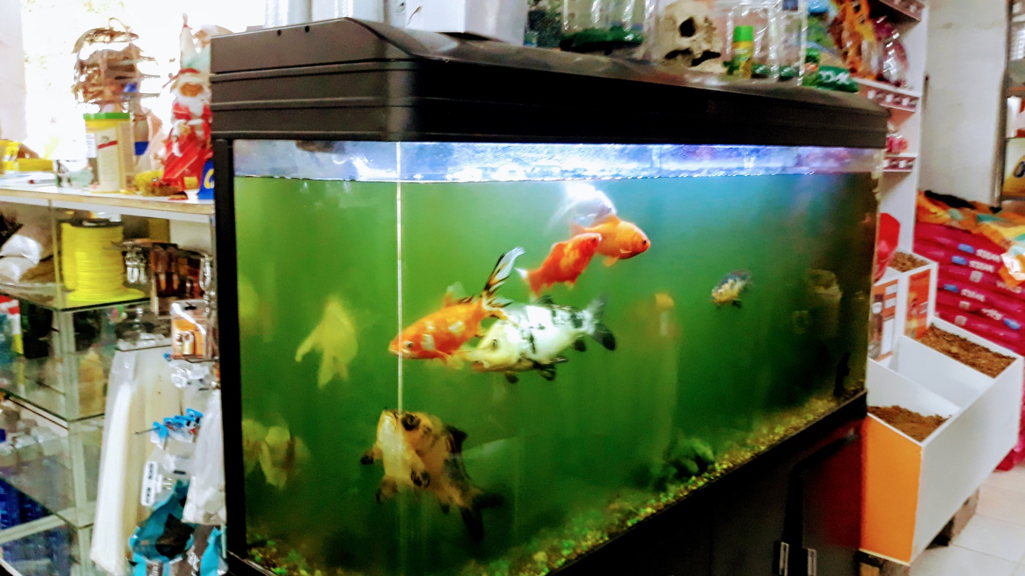 CRISAN RACIONES CRISAN RACIONES Pesceras