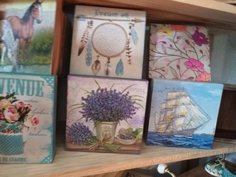 LA BICICLETA ENTRE TELAS 