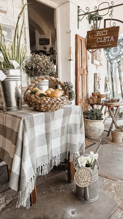 LA BICICLETA ENTRE TELAS 