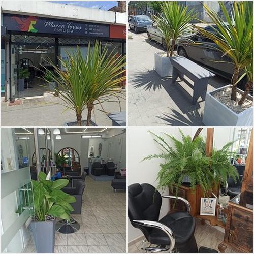 MARÍA TORRES ESTILISTA María Torres Estilista