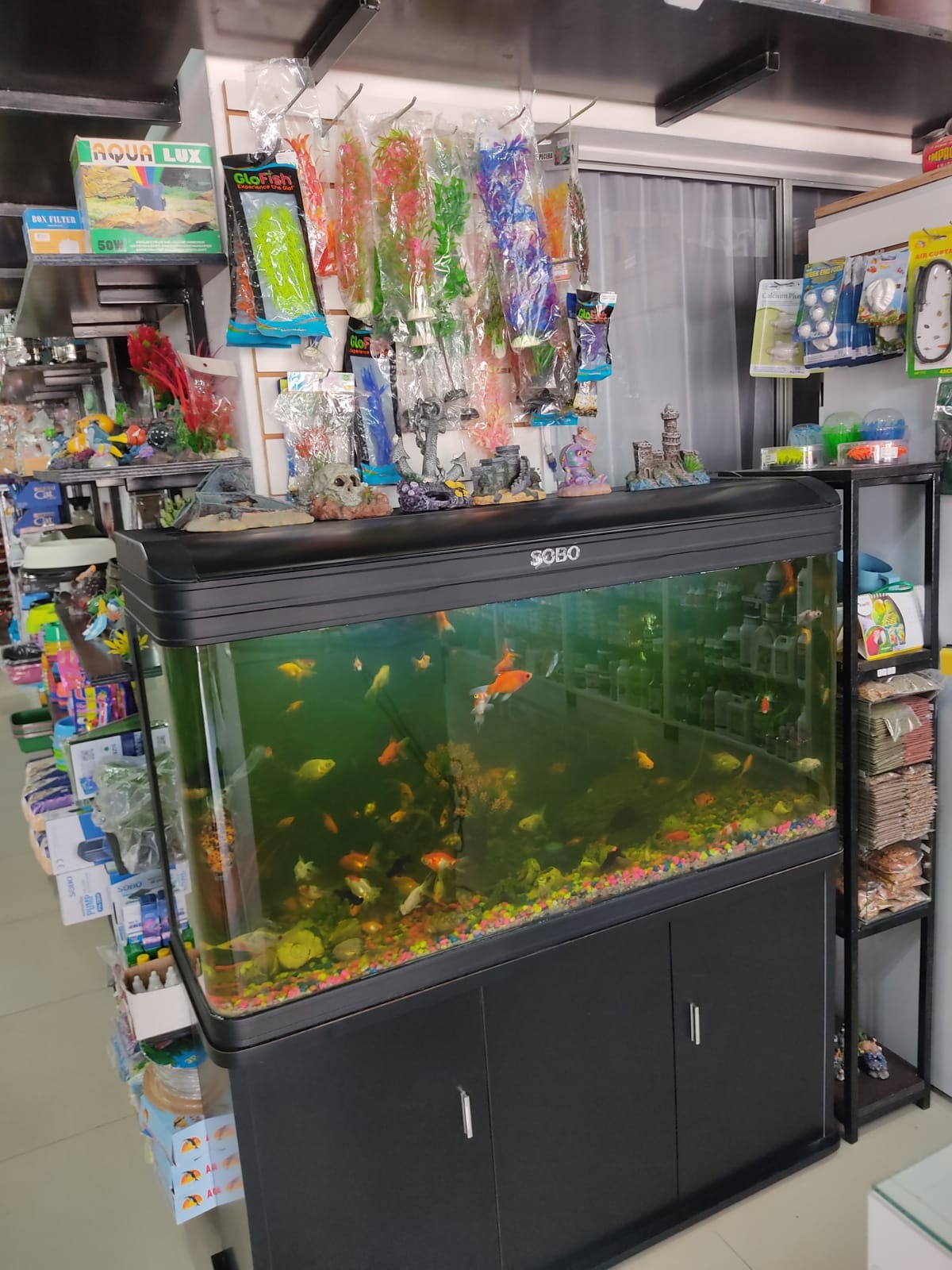 AGROVETERINARIA CASUPA  