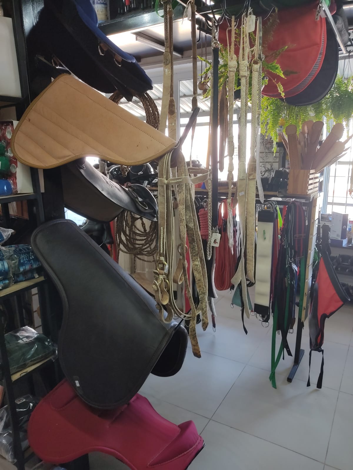 AGROVETERINARIA CASUPA  